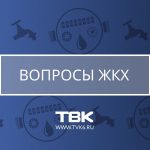 Ответственность за уничтожение тараканов в многоквартирном доме.